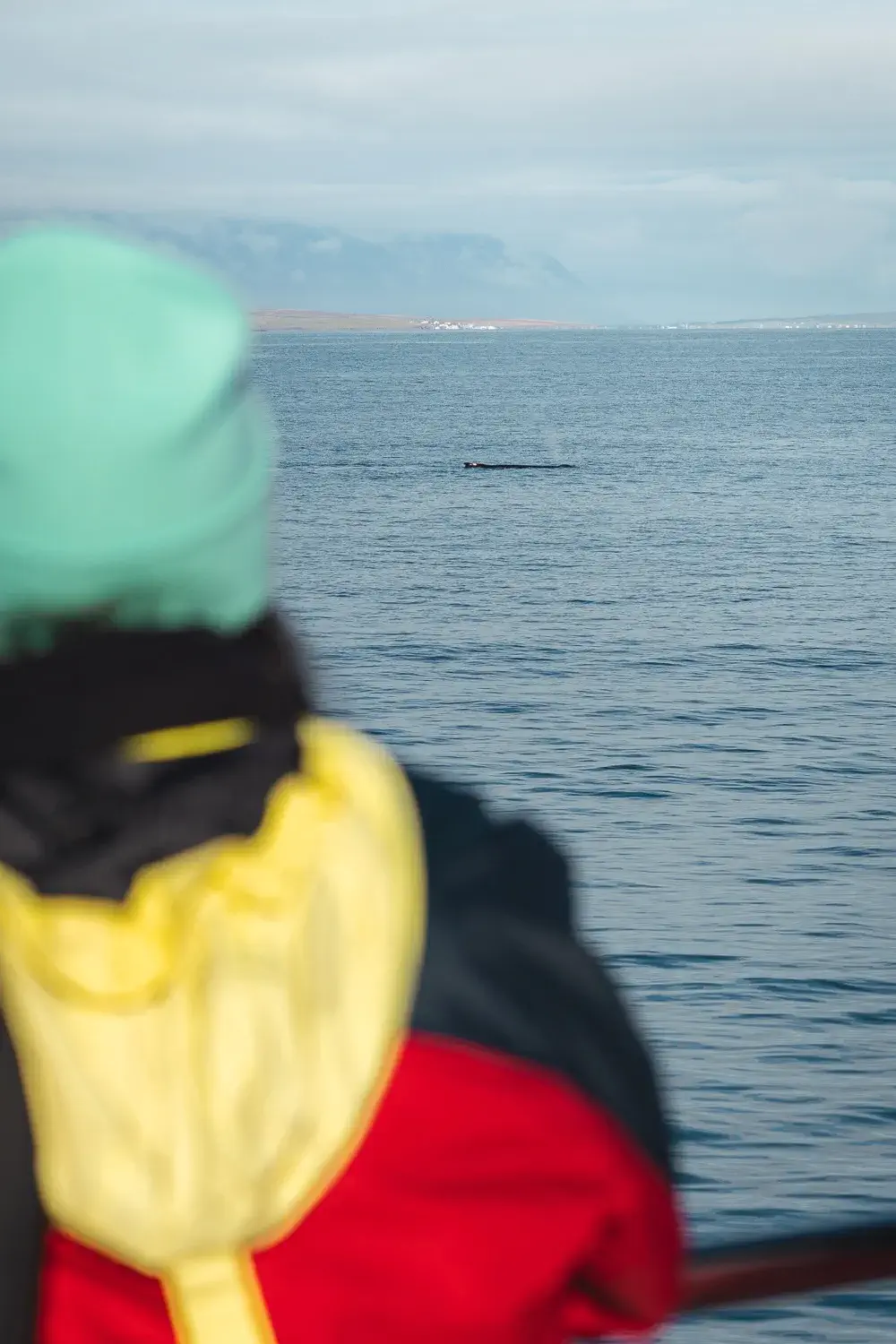 mujer mirando a una ballena en el mar en la lejanía