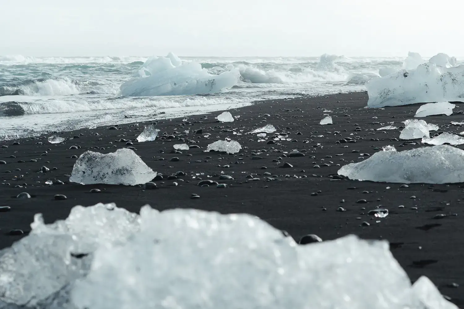 Pedazos de hielo e icebergs varados sobre la arena negra en Diamond Beach en Islandia