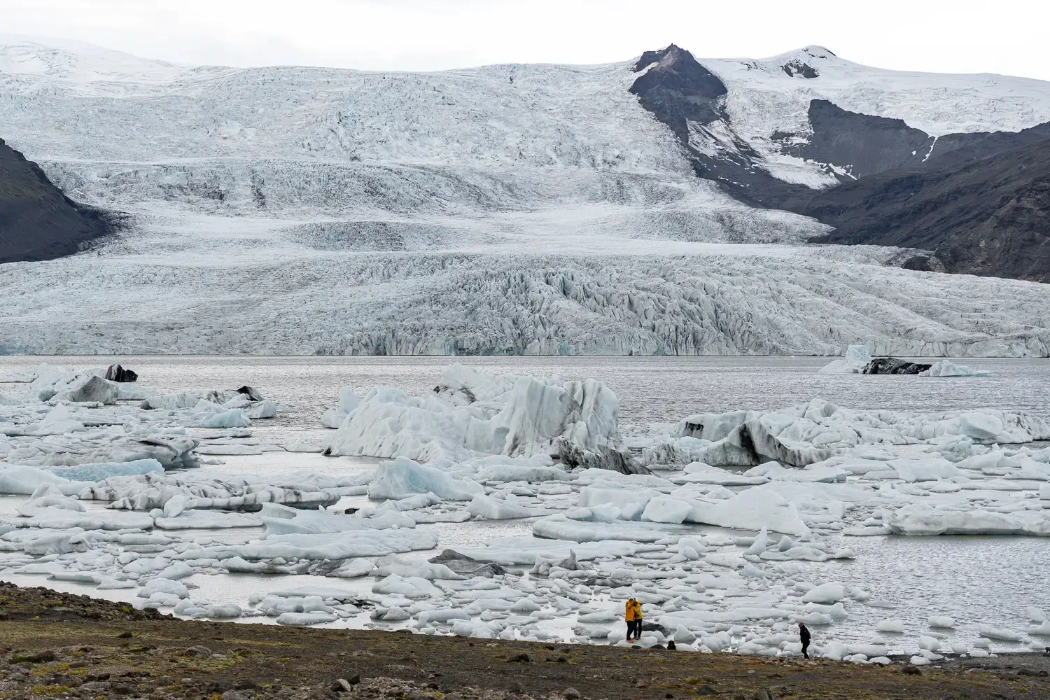 Laguna glaciar Fjallsárlón llena de icebergs y pedazos de hielo, un lugar asombroso en una ruta por Islandia