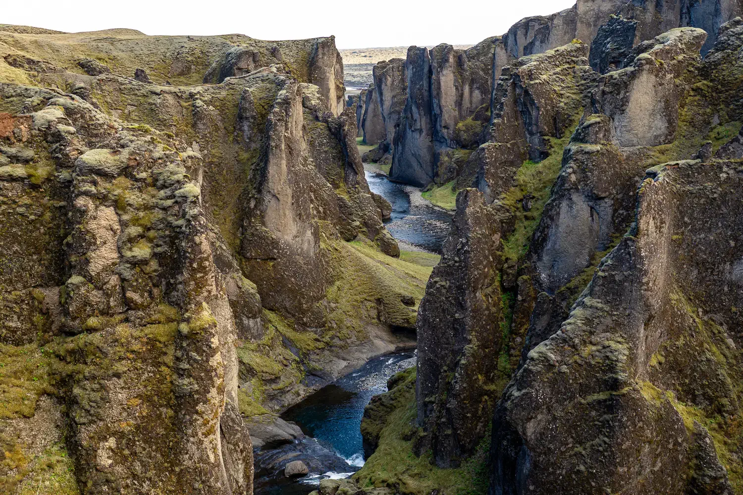 Cañón Fjaðrárgljúfur, con sus paredes cubiertas de musgo y el río serpenteando por el sur de Islandia.