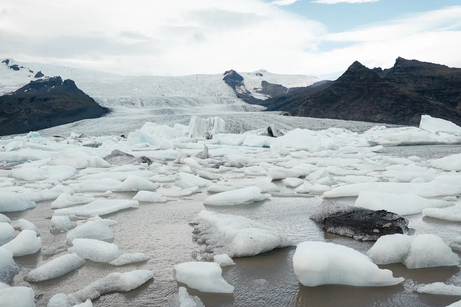Laguna glaciar Fjallsárlón con icebergs flotando frente al glaciar en el sur de Islandia.