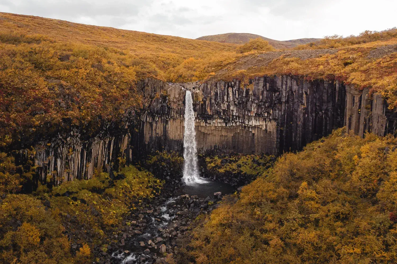 Cascada Svartifoss rodeada de vegetación otoñal y columnas de basalto negro en el Parque Nacional Vatnajökull, Islandia
