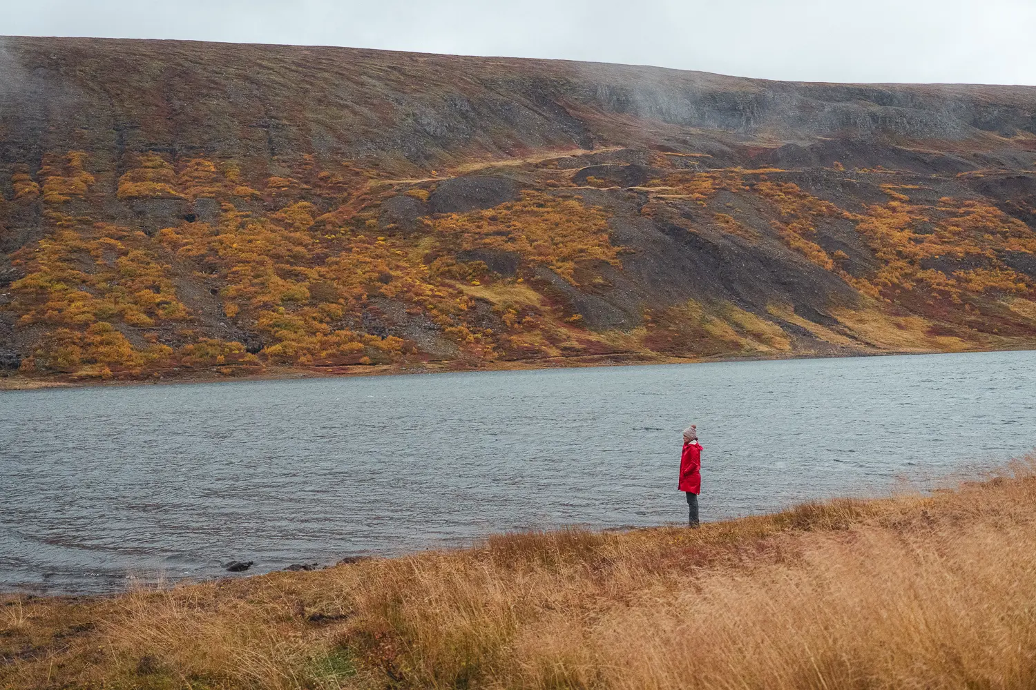 Paisaje del este de Islandia, junto a un lago, rodeado de montañas cubiertas de vegetación otoñal y con una persona paseando junto a la orilla